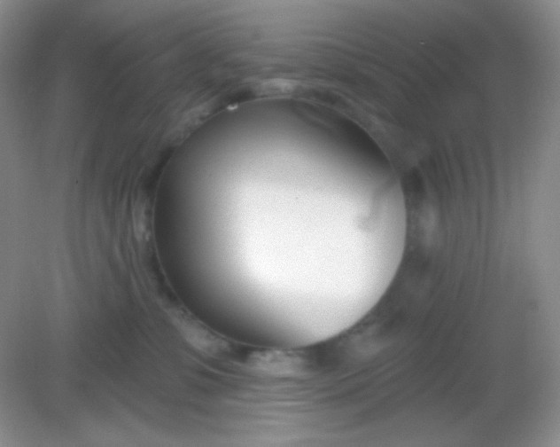 X0000082160331200702021707