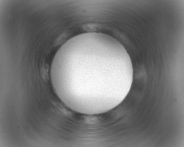 X0000082160332200702021707