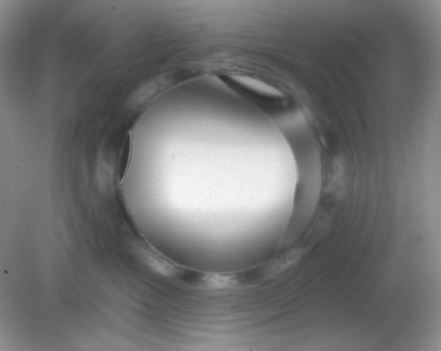 X0000082160333200702021707