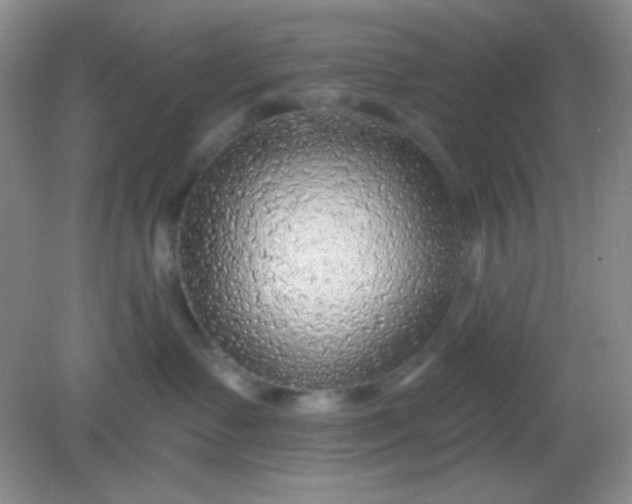 X0000082160335200702021707