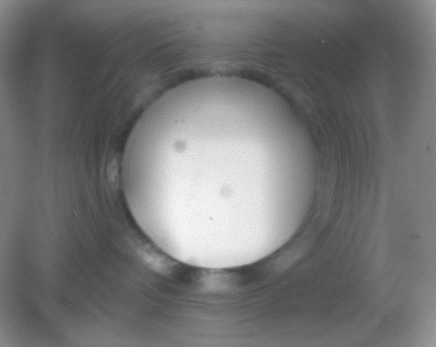 X0000082160336200702021707