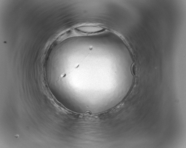 X0000082160337200702021706