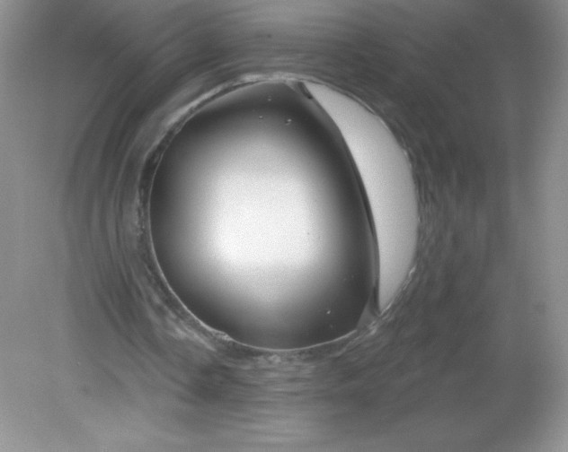 X0000082160338200702021706