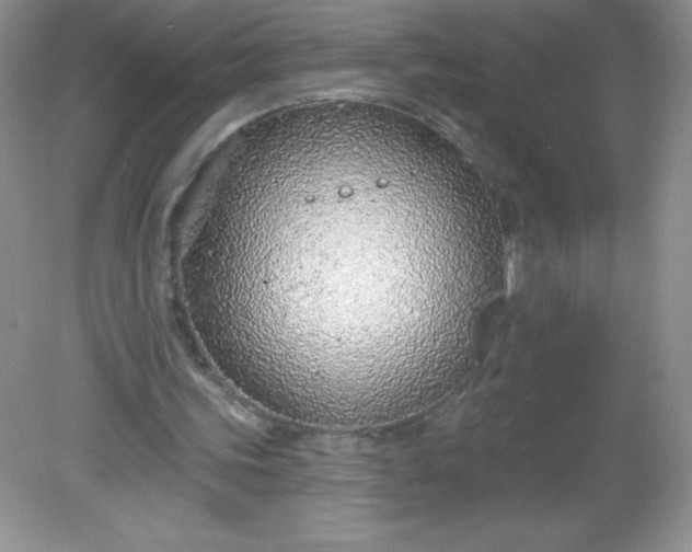 X0000082160339200702021706