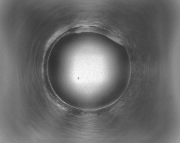 X0000082160340200702021706