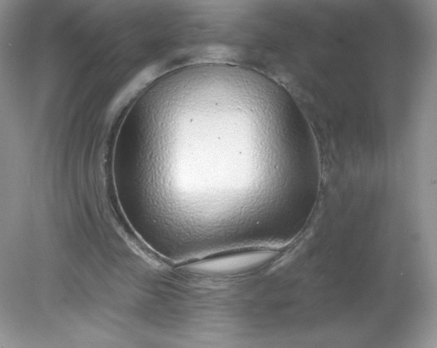 X0000082160341200702021706