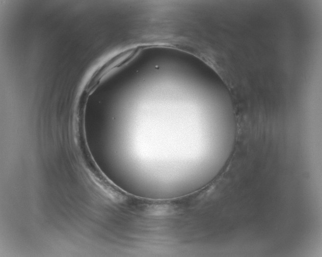 X0000082160342200702021706