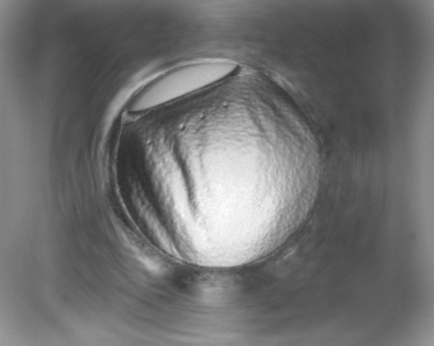 X0000082160343200702021706