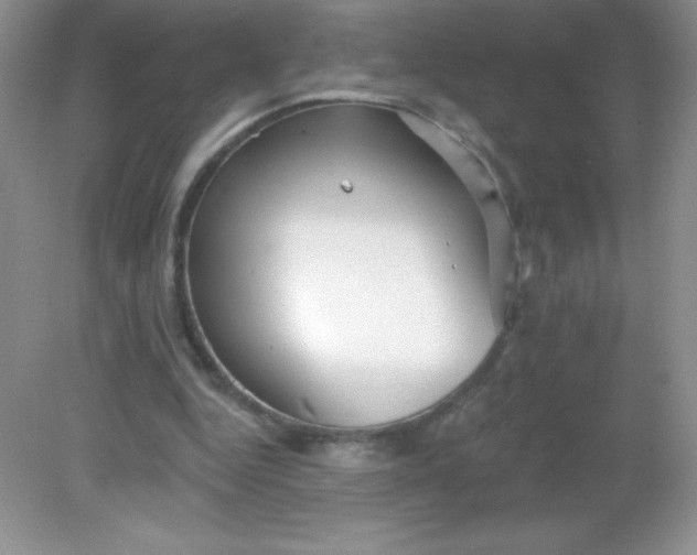 X0000082160344200702021706