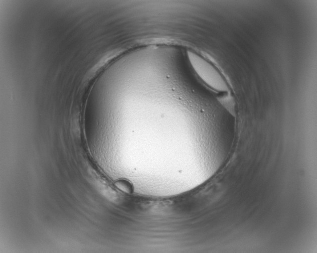 X0000082160345200702021706