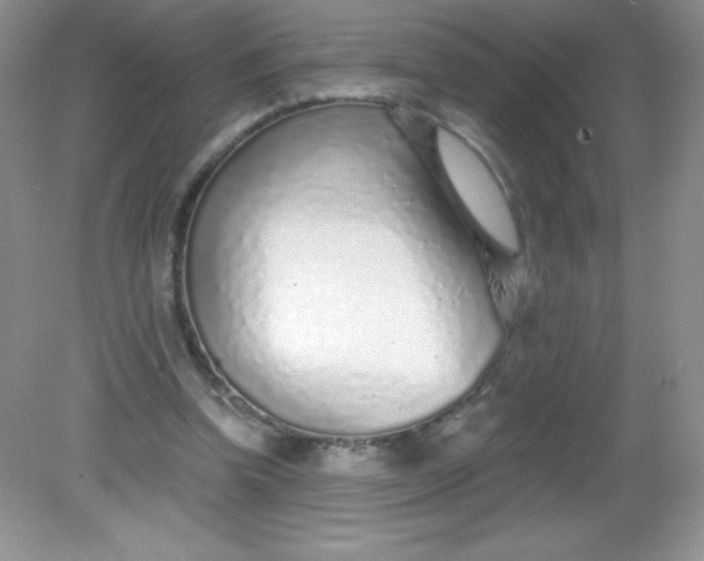 X0000082160346200702021706