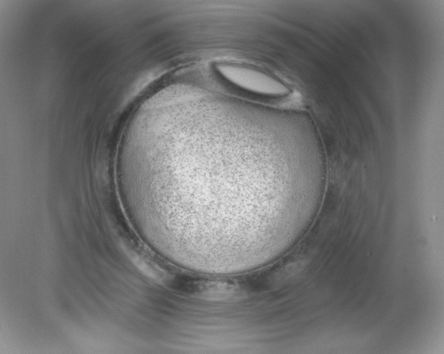 X0000082160347200702021706