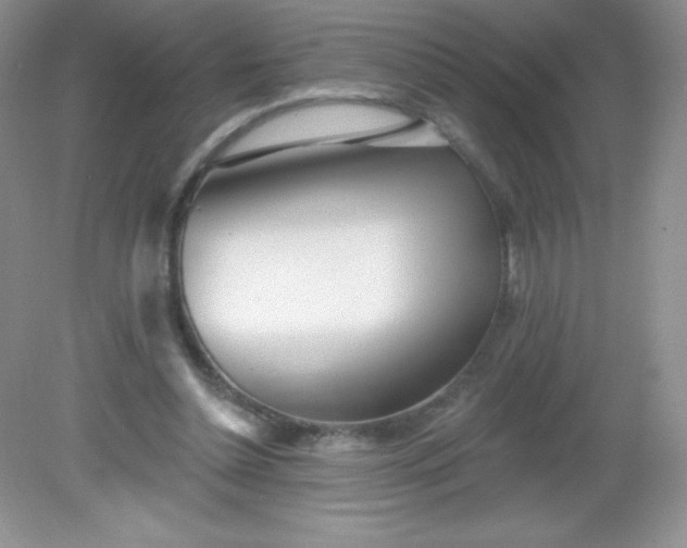 X0000082160348200702021706