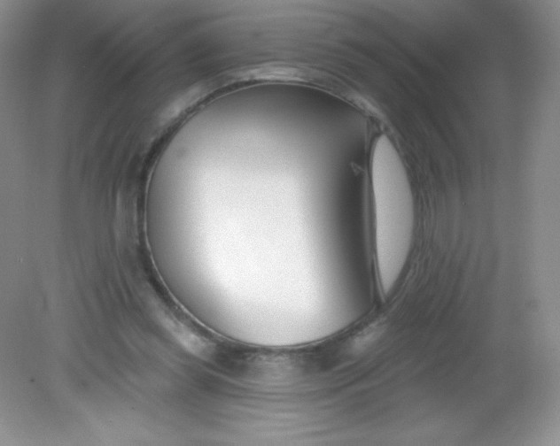 X0000082160349200702021706