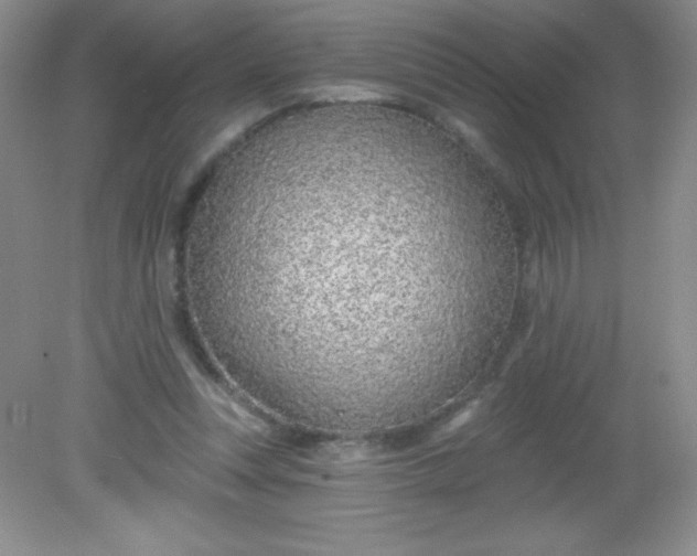 X0000082160351200702021706