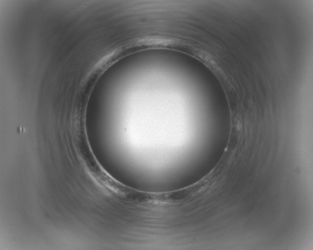 X0000082160352200702021706