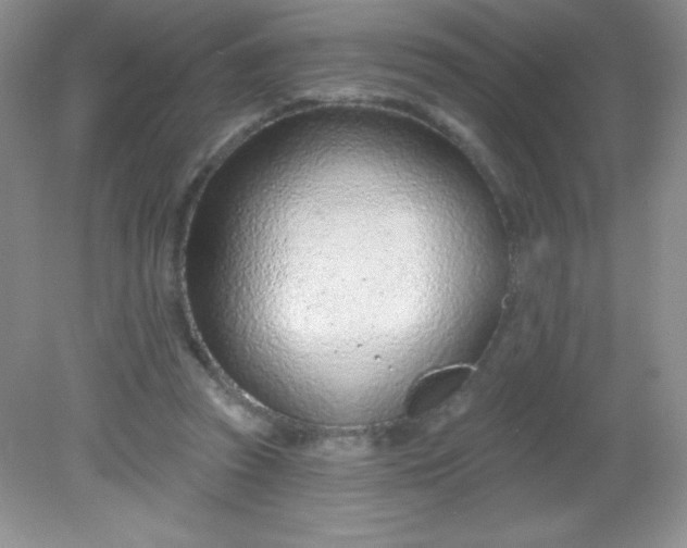 X0000082160353200702021707