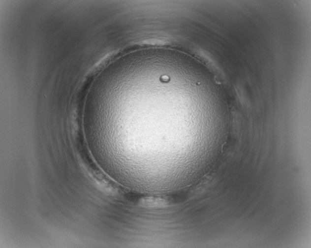 X0000082160354200702021707