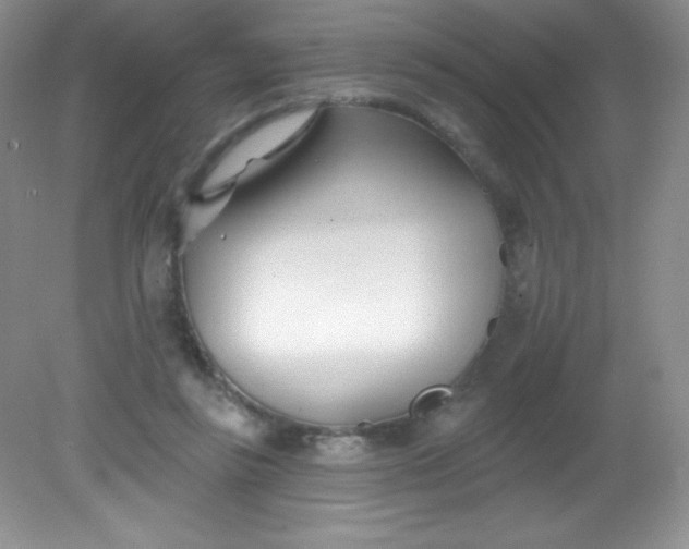 X0000082160355200702021707