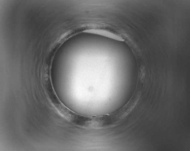 X0000082160356200702021707