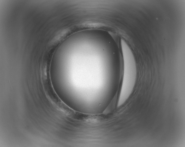 X0000082160358200702021707