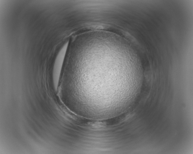 X0000082160359200702021707