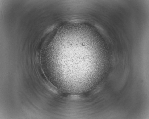 X0000082160361200702021707