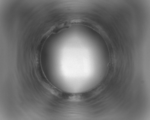 X0000082160362200702021707