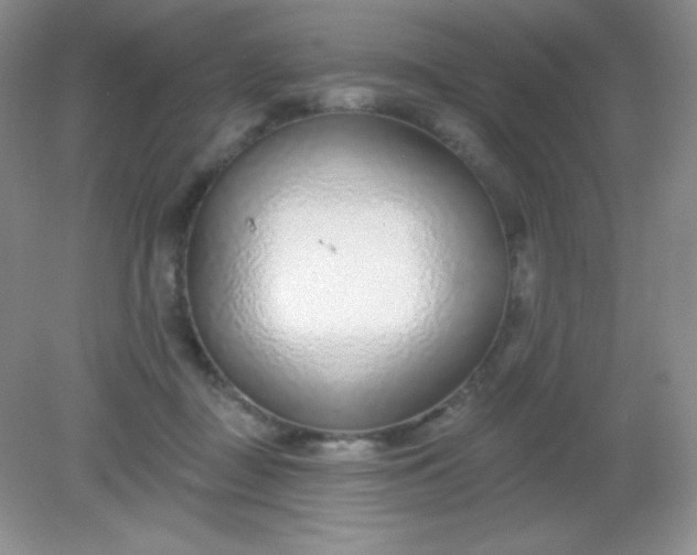 X0000082160363200702021707