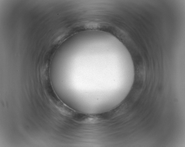 X0000082160364200702021707