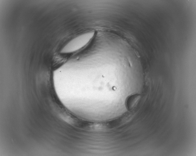 X0000082160365200702021707