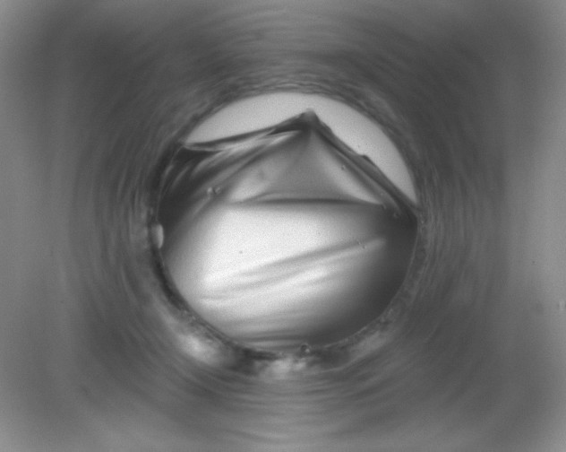 X0000082160366200702021707