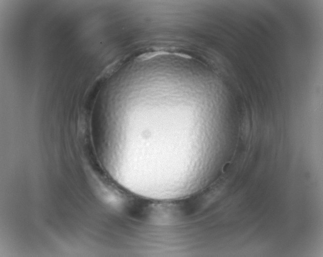 X0000082160367200702021707