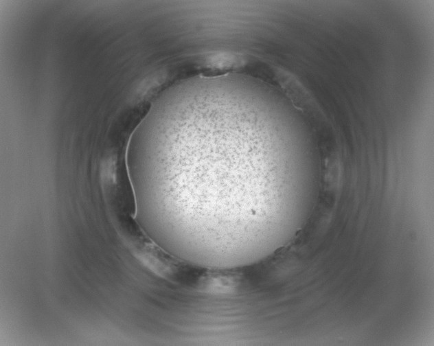 X0000082160368200702021707