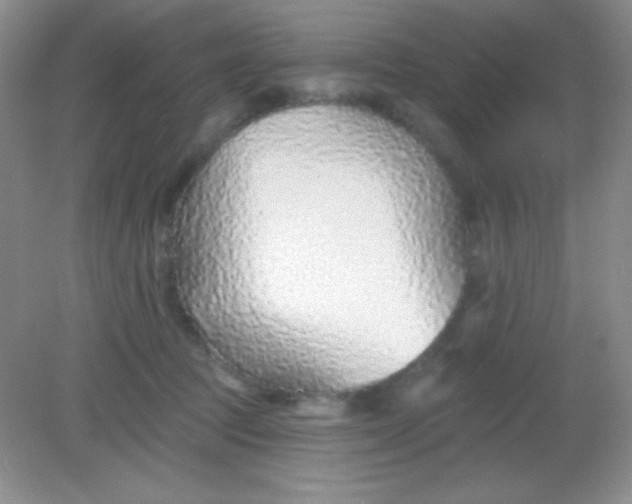 X0000082160369200702021707