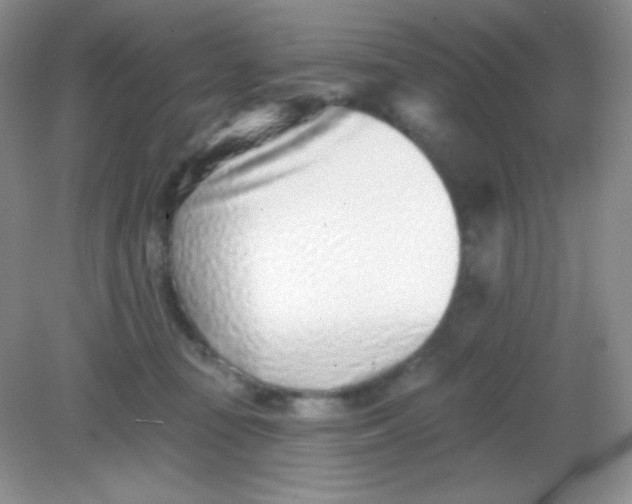 X0000082160371200702021707