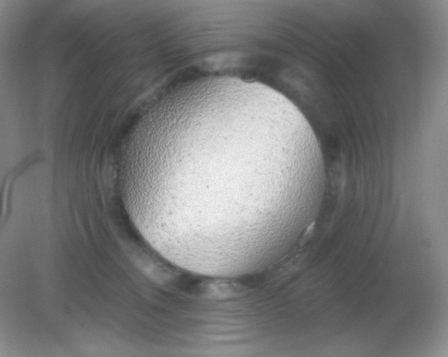 X0000082160372200702021707