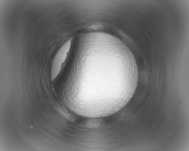 X0000082160373200702021707