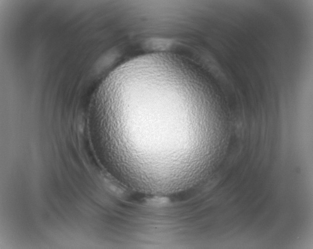 X0000082160374200702021707