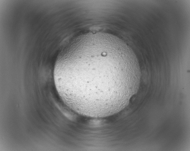 X0000082160375200702021707