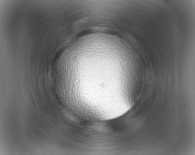 X0000082160377200702021707