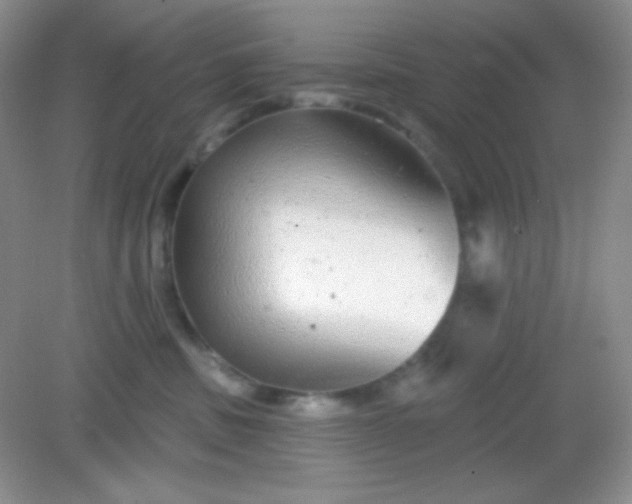 X0000082160379200702021707