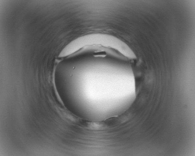 X0000082160380200702021707