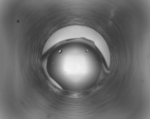 X0000082160382200702021707