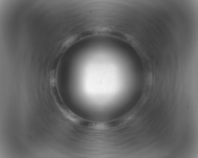 X0000082160383200702021707