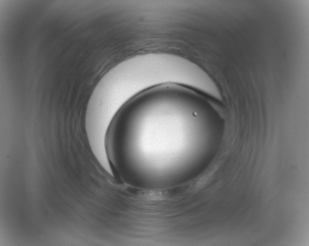 X0000082160384200702021707