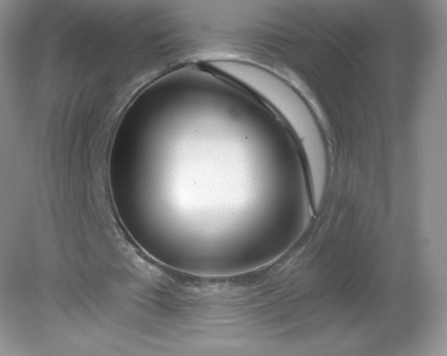 X0000082160385200702021706