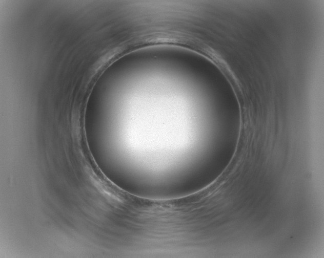 X0000082160386200702021706