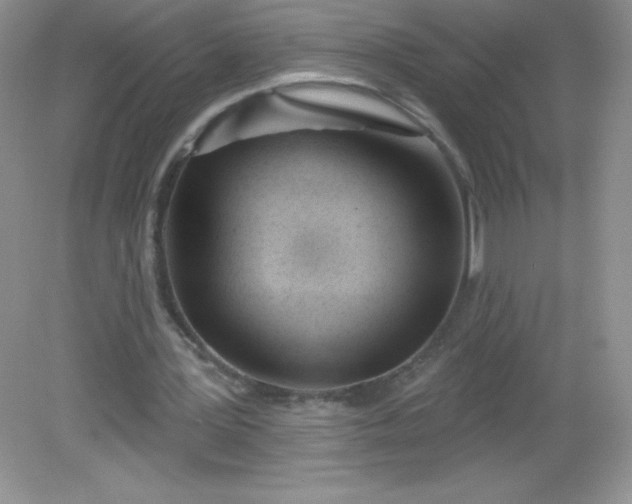 X0000082160387200702021706