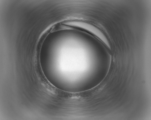 X0000082160388200702021706